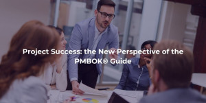 Project Success: the New Perspective of the PMBOK® Guide